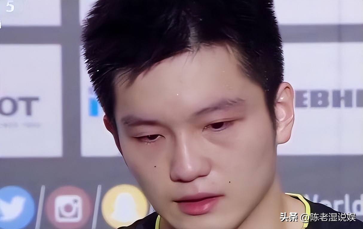 奥地利乒乓球队爆冷德国乒乓球队，樊振东绝境逆转的简单介绍
