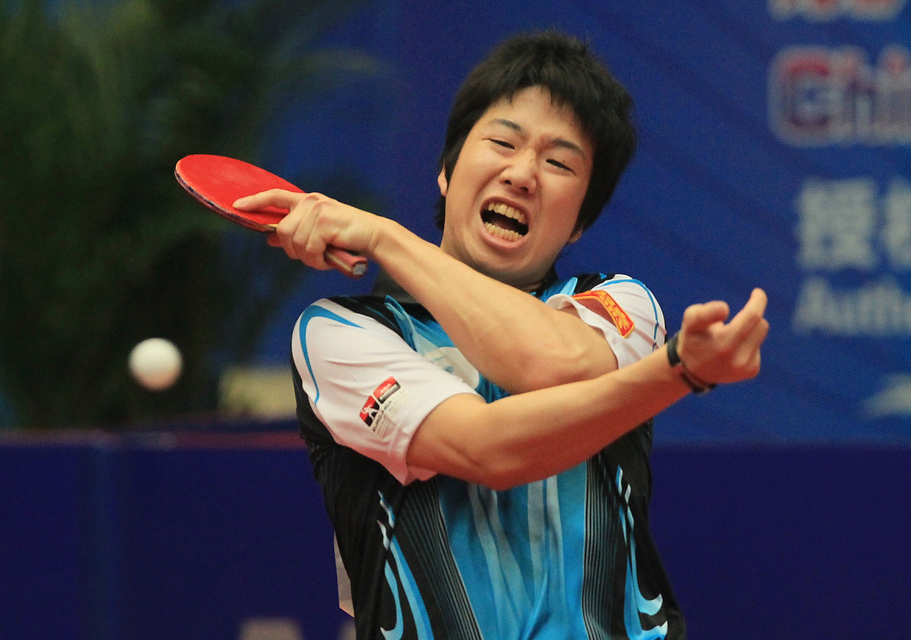 包含比利时乒乓球队血洗奥地利乒乓球队，水谷隼高光表现的词条